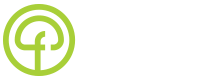 Frais Funghi Official Web
